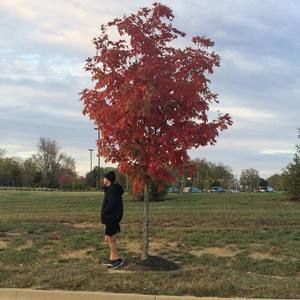 Meet your Posher, Alexander